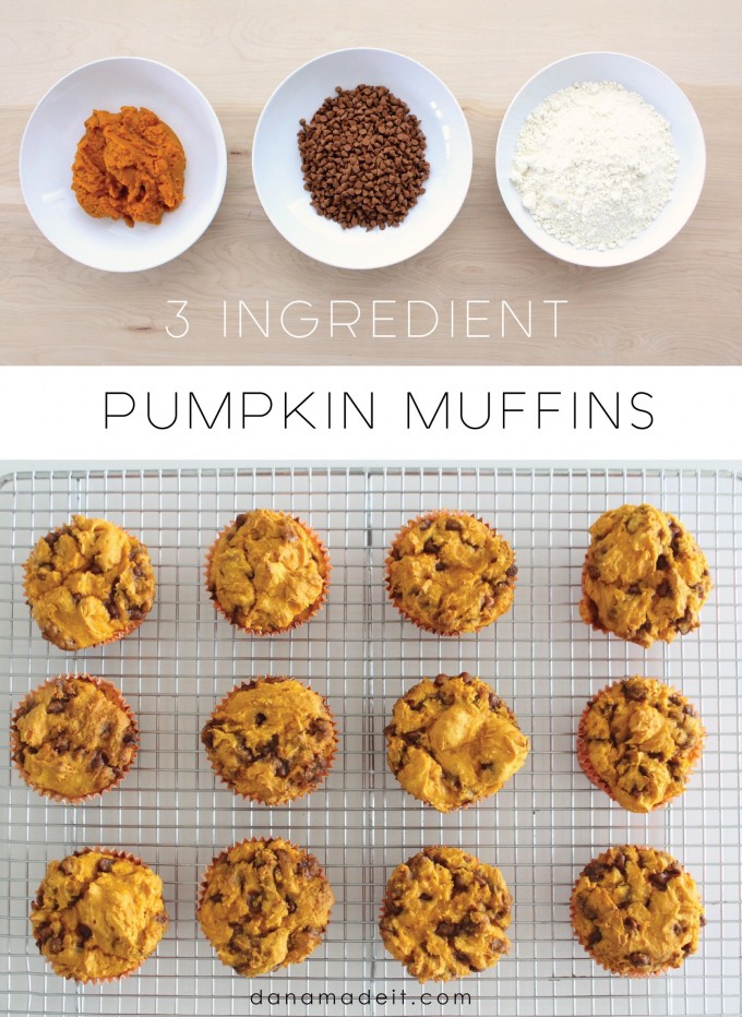 3 Ingredient Pumpkin Muffins on MADE
