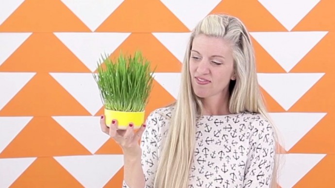 how to grow wheatgrass video