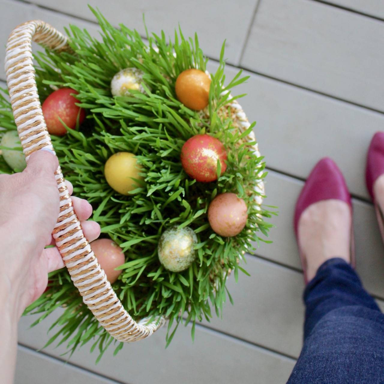 Easter Basket Grass – Botanical Interests