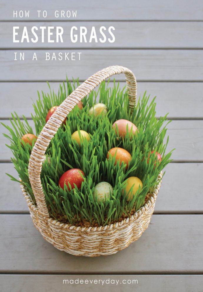 Basket Filled with Real Grass for Easter, Spring, and Summer Holidays:Easter  basket grass with flowers